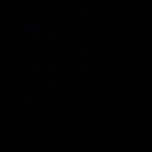 Meet your Posher, Claudia